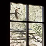 Nyaraló Holzhaus Am