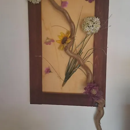 Holzhaus Am Zernsdorf