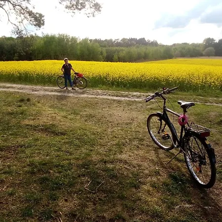 Holzhaus Am 別荘 Zernsdorf