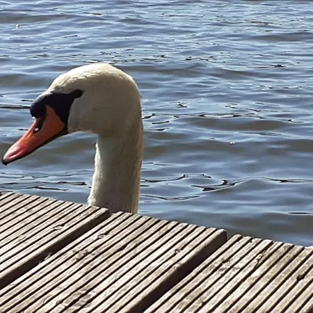 Holzhaus Am * Zernsdorf