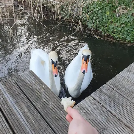 بيت للعطل Holzhaus Am