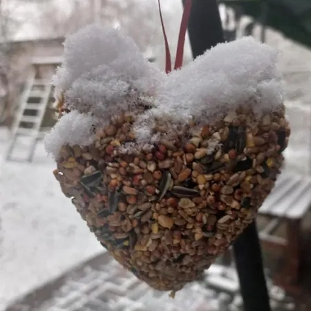 Holzhaus Am * Zernsdorf