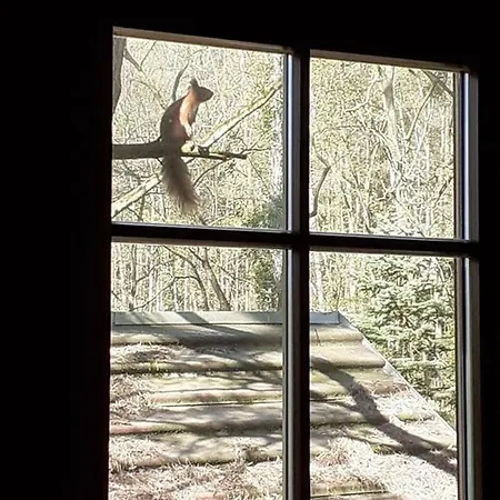 بيت للعطل Holzhaus Am