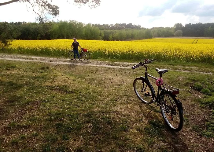 Holzhaus Am 別荘 Zernsdorf