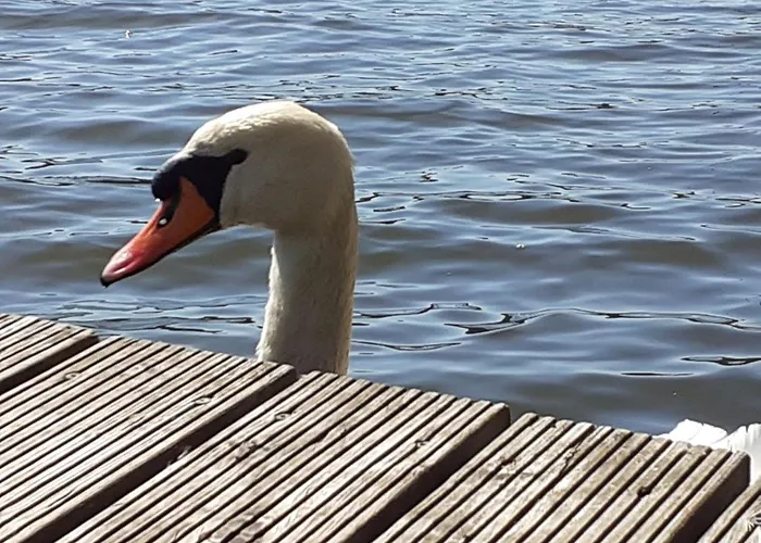 Holzhaus Am * Zernsdorf