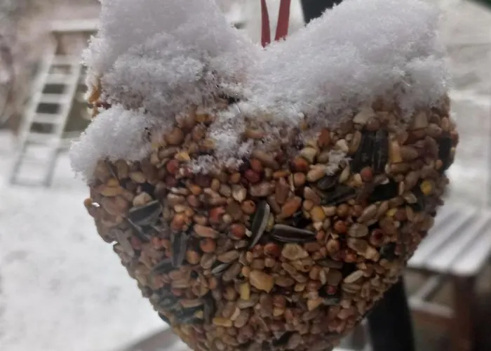 Holzhaus Am See * Zernsdorf