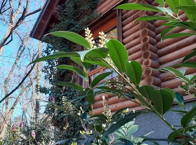 Tatil Evi Holzhaus Am See