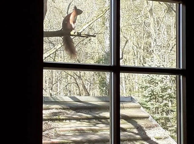 Tatil Evi Holzhaus Am See