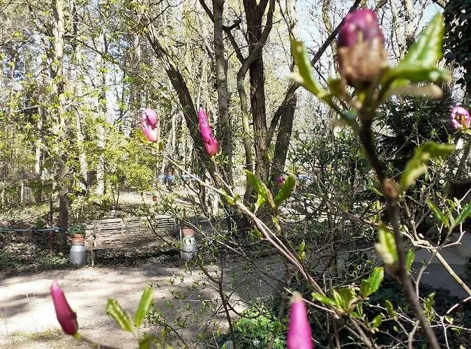 Holzhaus Am See Tatil Evi